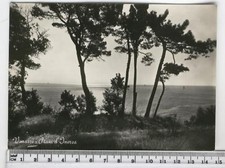 Cartolina liguria varazze - cartolina,