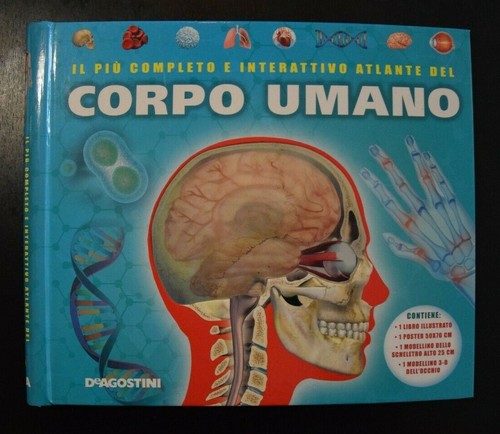 Più completo interattivo - il, e