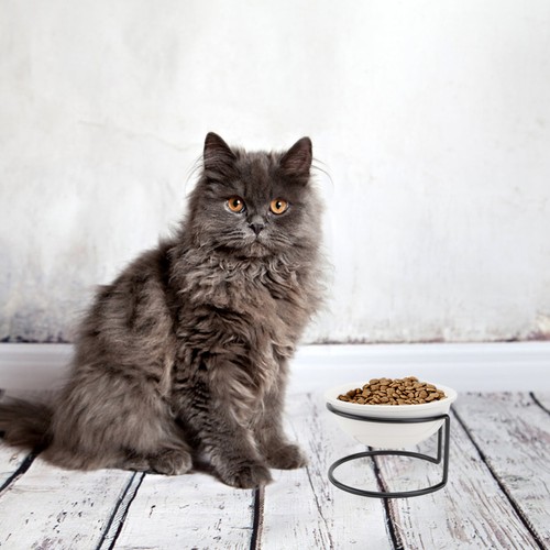 Supporto ciotola cane da - ,