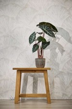 Parati Con Stampa Motivo