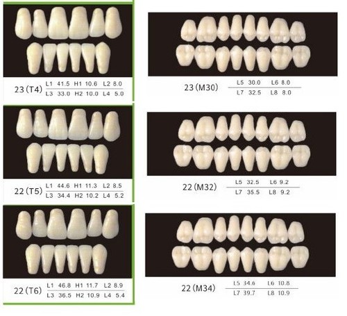 Denti protesi resina serie - ,