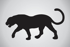 Stencil Joanie Pantera Nera