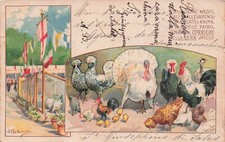 21-58C) ESPOSIZIONE INTERNAZIONALE ALLEVAMENTO CANI GATTI CORRIERE DELLA SERA