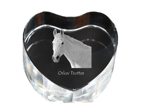 Trottatore orlov cuore - trottatore,
