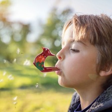  6 Pcs Fischietto Ceramica Dei