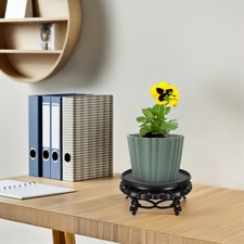 Espositore per bonsai
