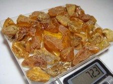 Ambra grezza del Mar Baltico 361 carati possibili inclusioni la più pregiata