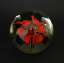 ✅ SPLENDIDO ANTICO