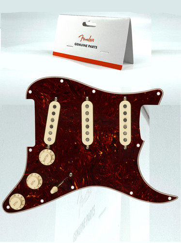Alnico vero parafango custom - alnico,