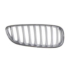 Griglia radiatore titanio