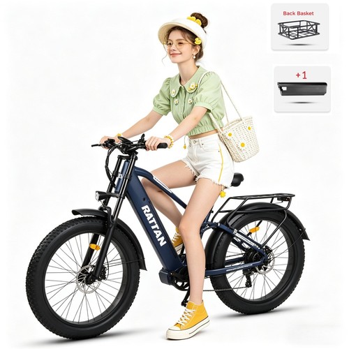 Bicicletta elettrica city - elettrica,