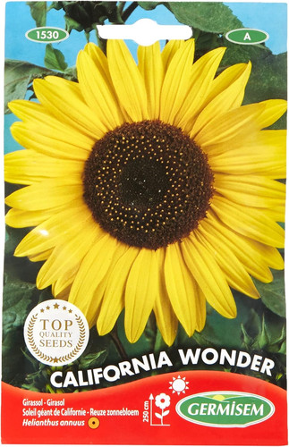 California wonder semi - california,