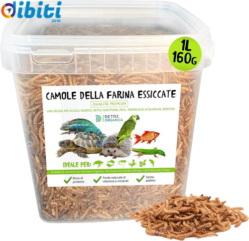 Camole della farina essiccate - camole,