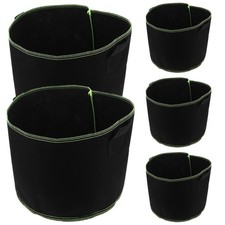  5 pezzi di piante per