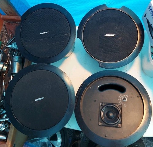 Bose model and - model,
