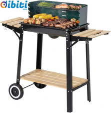 Barbecue a Carbonella