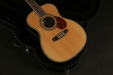 Chitarra Elettrica Acustica