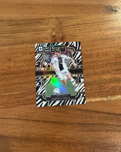 Lorenzo lucca 2023 panini - lorenzo, 2023-24