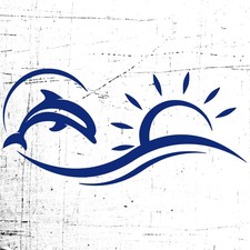 L209 Kit 1 Adesivo Barca