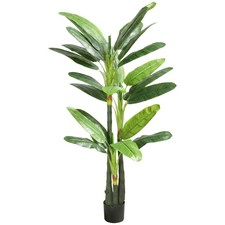 Homcom albero banano - homcom,