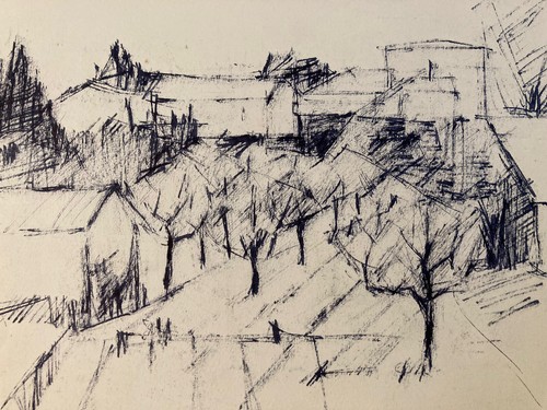Bella disegno carboncino - bella,