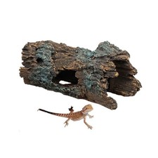Piattaforma Arrampicata
