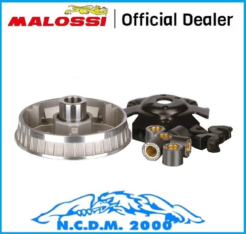Variatore malossi multivar - malossi,