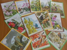 Lotto 12 Stampe x quadri