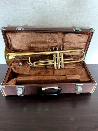 Custodia rigida yamaha - yamaha, ytr-233