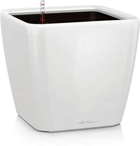 Quadro vaso da fiori - quadro, 50