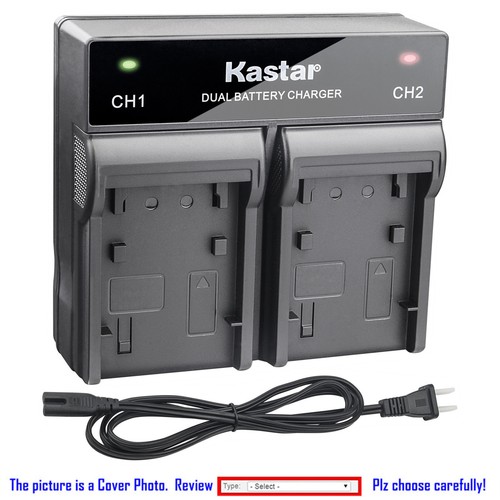 Kastar battery dual rapid - kastar,