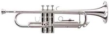 Tromba Bb strumenti a fiato