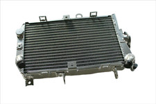 ✅Radiatore in lega di