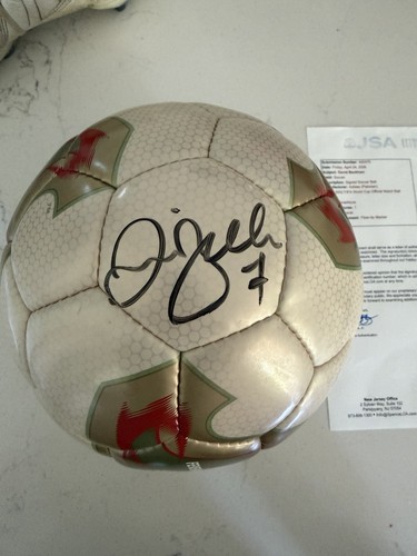 Pallone fevernova david - pallone,
