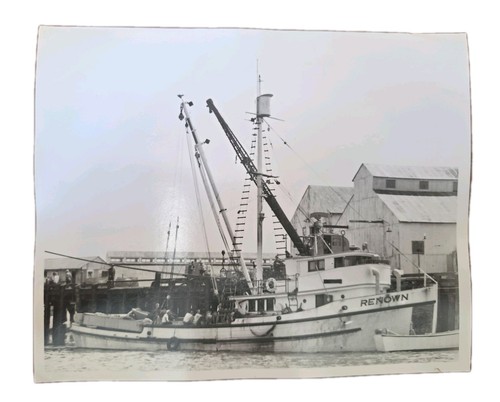 Renown salmon tender - f/v,