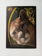 FIGURINA ANIMAL CHAMPIONS