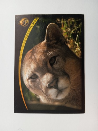 Figurina animal champions - animal,