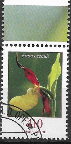 2010 germania 2768 - 2010, fiori