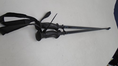 Bastoncini sci elemento - sci,