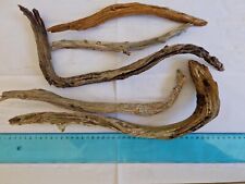 Driftwood legnetti di mare  ginepro, legno spiaggiato 