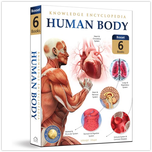 Human body box set knowledge - human,