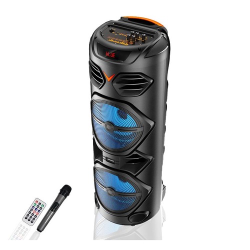 Cassa amplificata karaoke - cassa,