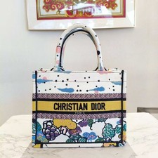 Christian Dior Book Tote Small