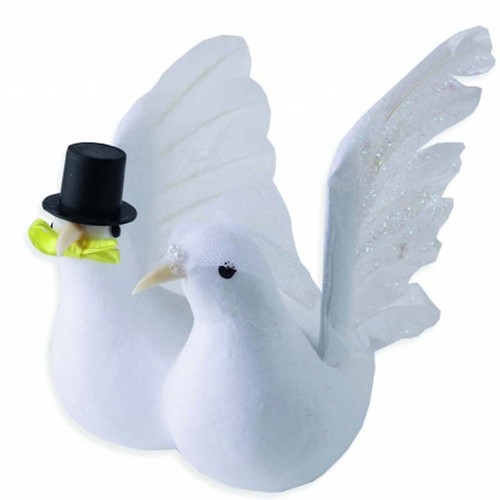 Colombe bianco hochzeitstauben - colombe,