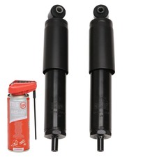 Ammortizzatori olio - 2x,