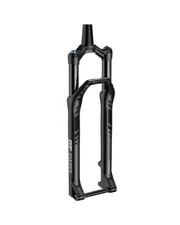 - DT Swiss F 232 ONE 29"