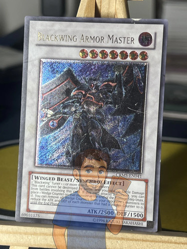 Blackwing armor master - blackwing,