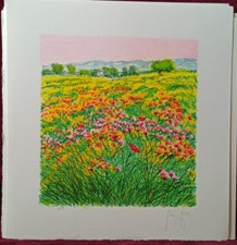 Azzinari Franco Litografia