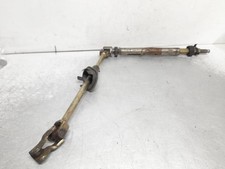 CANNA DELLO STERZO (PIANTONE)