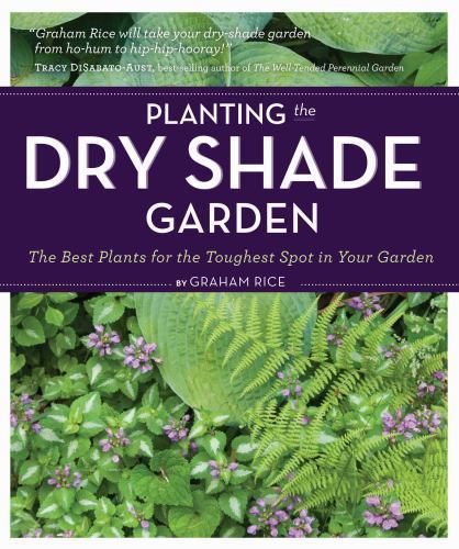 Planting the dry shade - dry, garden